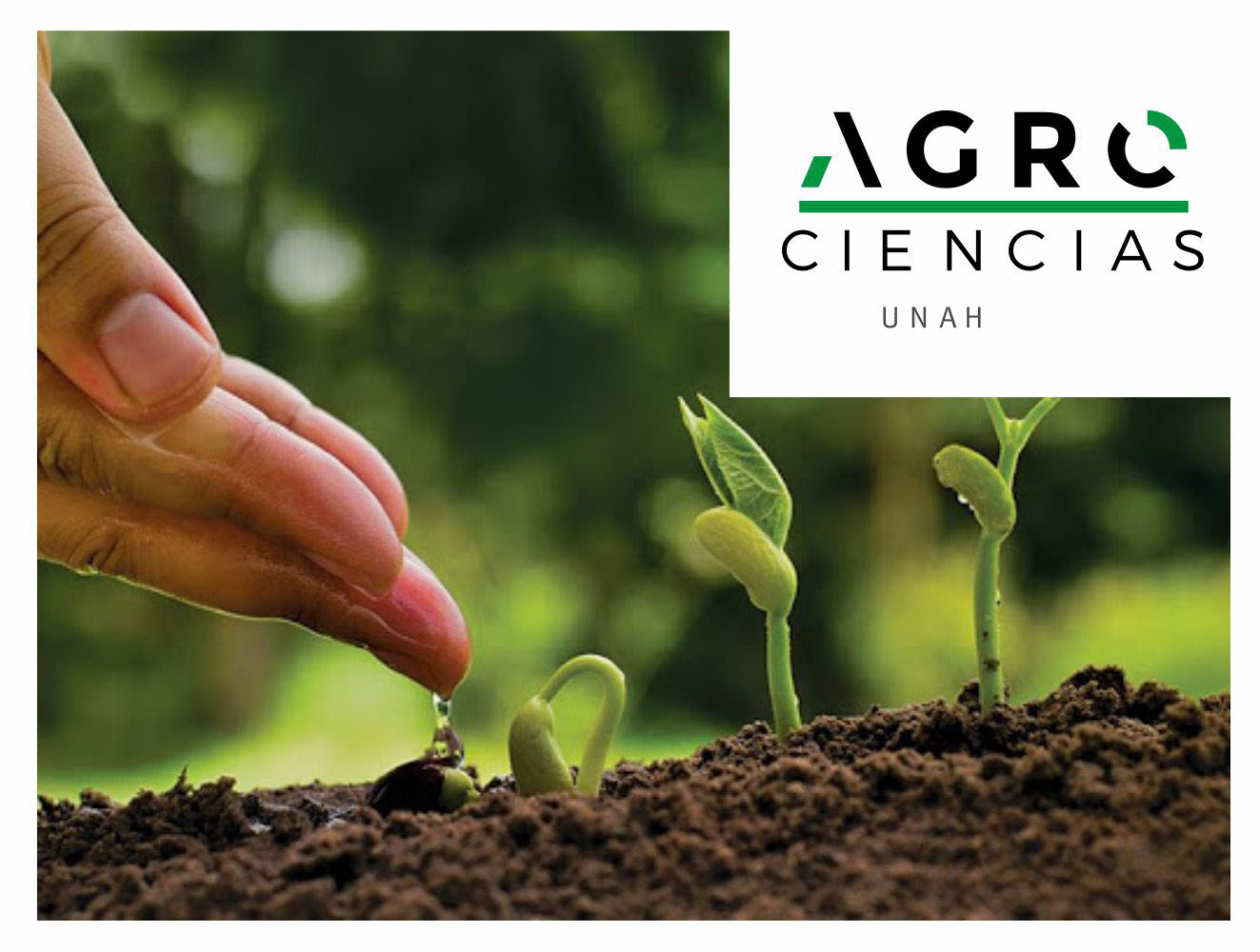 Event - INTERNATIONAL CONGRESS OF AGRICULTURAL SCIENCES   “AGROCIENCIAS 2022”